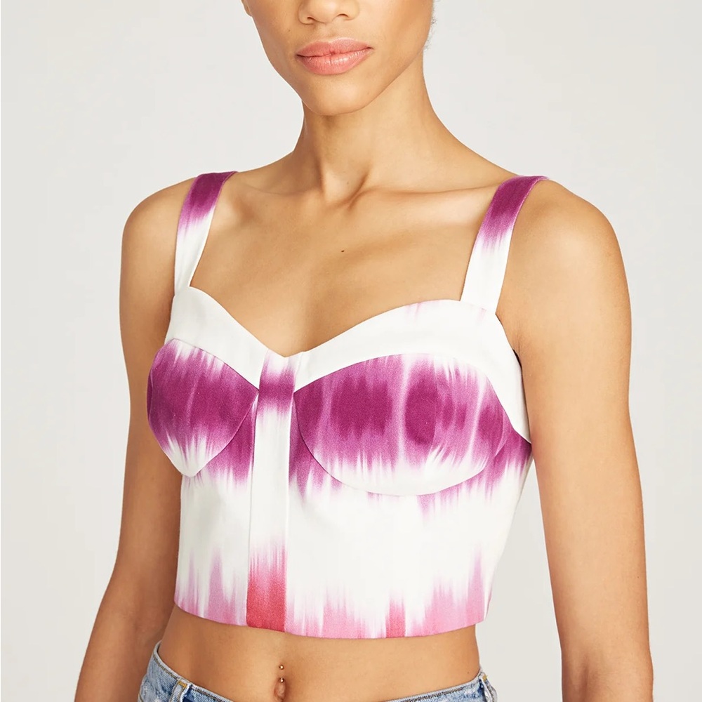 AMUR Callie Bustier top in a Barberry Tie Dye Stripe